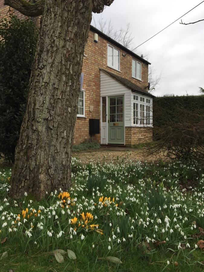 Beech View Cottage 다우넘 마켓 외부 사진