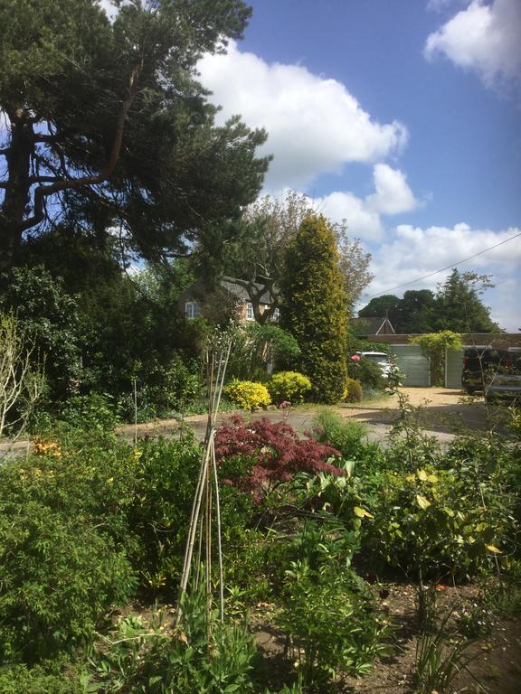 Beech View Cottage 다우넘 마켓 외부 사진